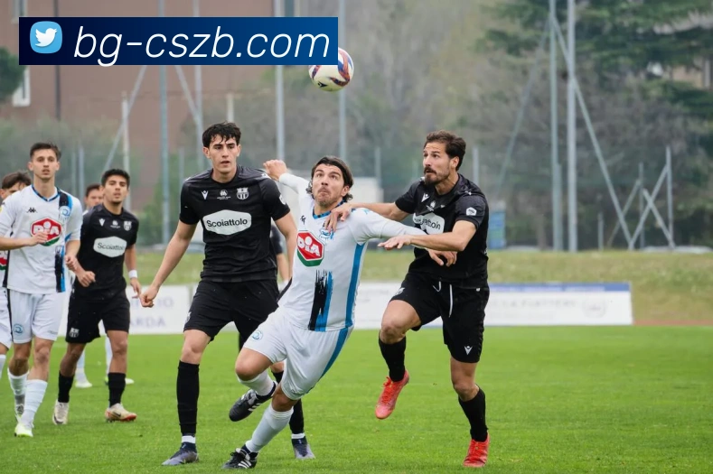 彩神争霸全站App 彩神争霸全站App