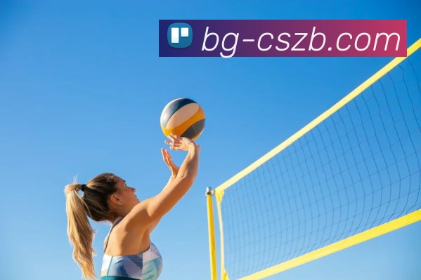 辅助工具 辅助工具